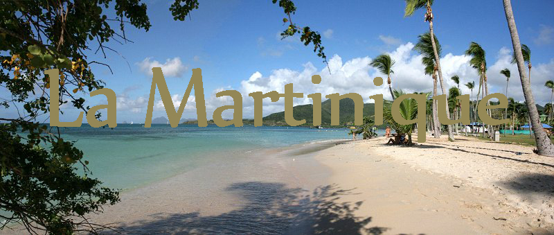 martinique_ste-anne_de_marc.d.jpg